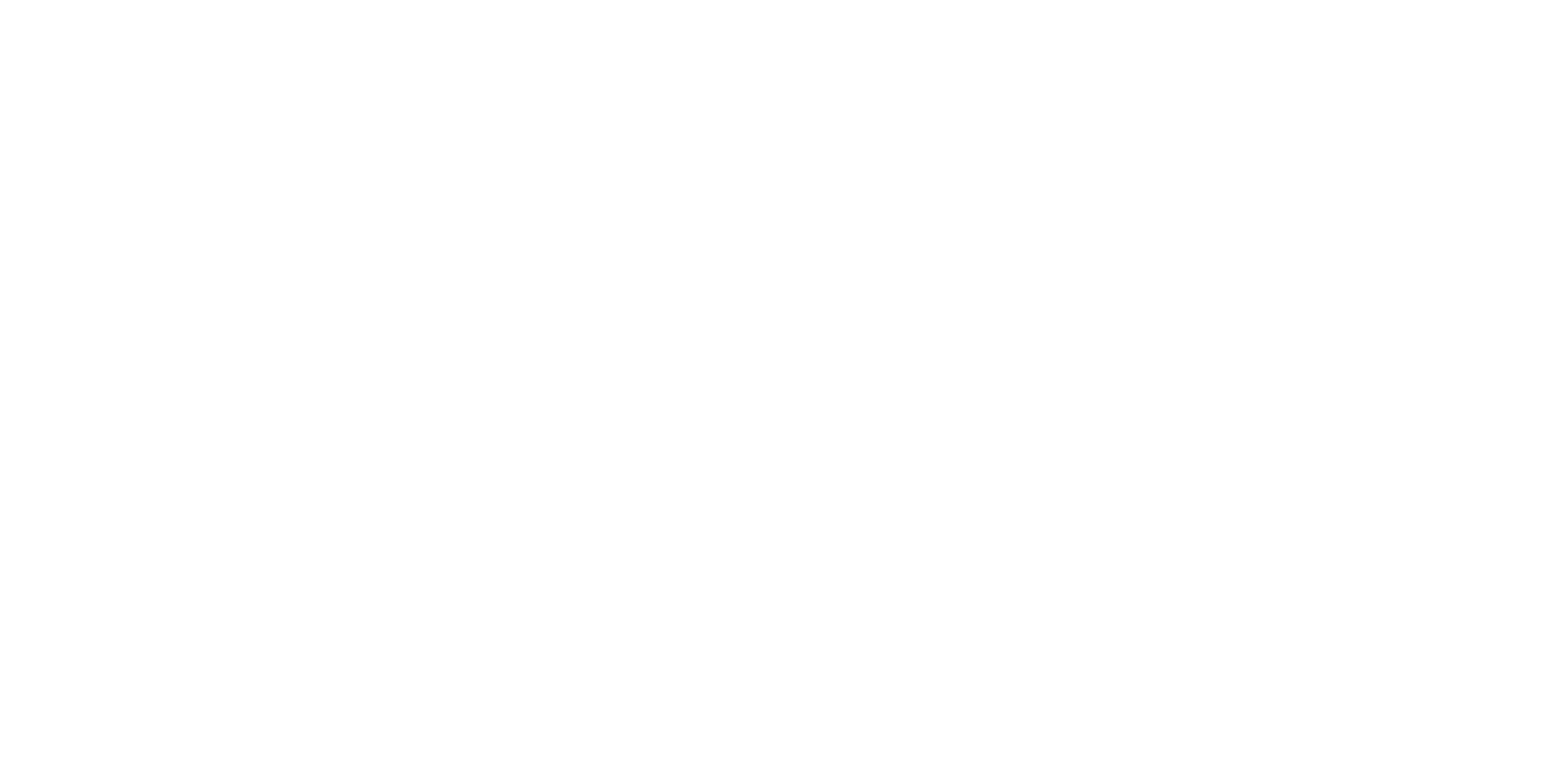 Logo_Diotic_white_trans